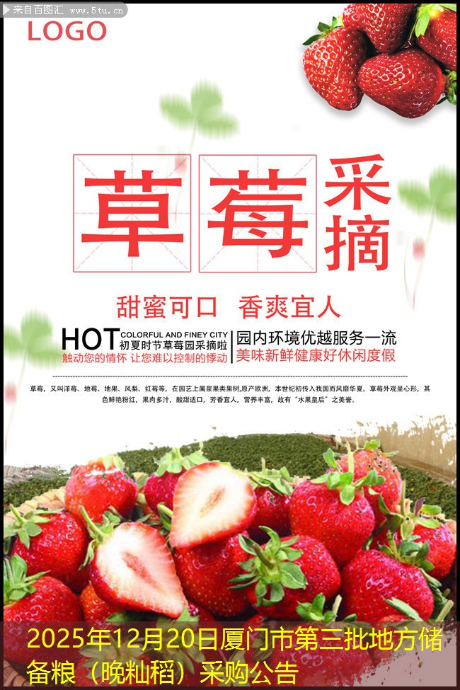 2025年12月20日厦门市第三批地方储备粮（晚籼稻）采购公告