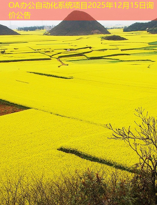 OA办公自动化系统项目2025年12月15日询价公告
