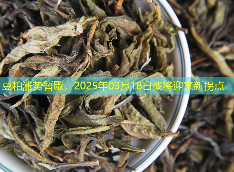 豆粕涨势暂歇，2025年03月18日或将迎来新拐点