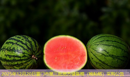 2025年12月20日厦门市第三批地方储备粮（晚籼稻）采购公告