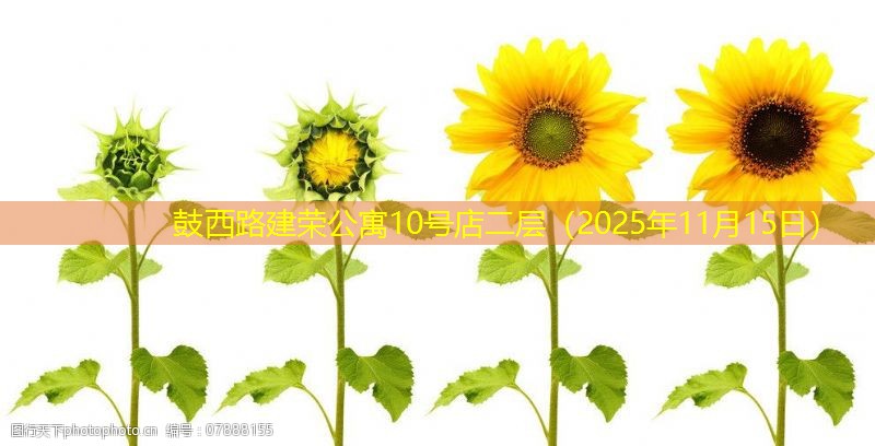 鼓西路建荣公寓10号店二层（2025年11月15日）