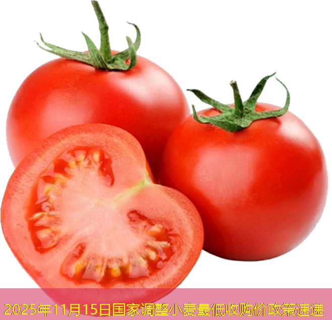 2025年11月15日国家调整小麦最低收购价政策速递