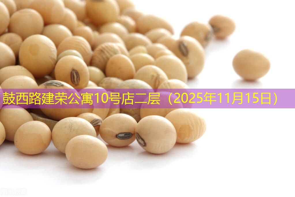 鼓西路建荣公寓10号店二层（2025年11月15日）