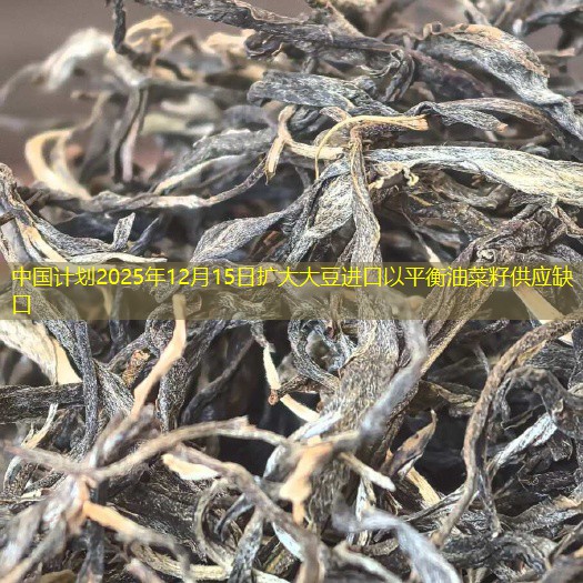 中国计划2025年12月15日扩大大豆进口以平衡油菜籽供应缺口