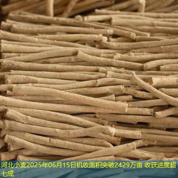 河北小麦2025年06月15日机收面积突破2429万亩 收获进度超七成