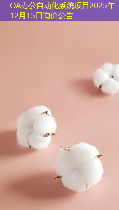 OA办公自动化系统项目2025年12月15日询价公告