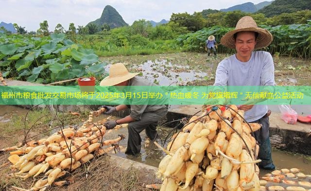 福州市粮食批发交易市场将于2025年3月15日举办＂热血暖冬 为党旗增辉＂无偿献血公益活动