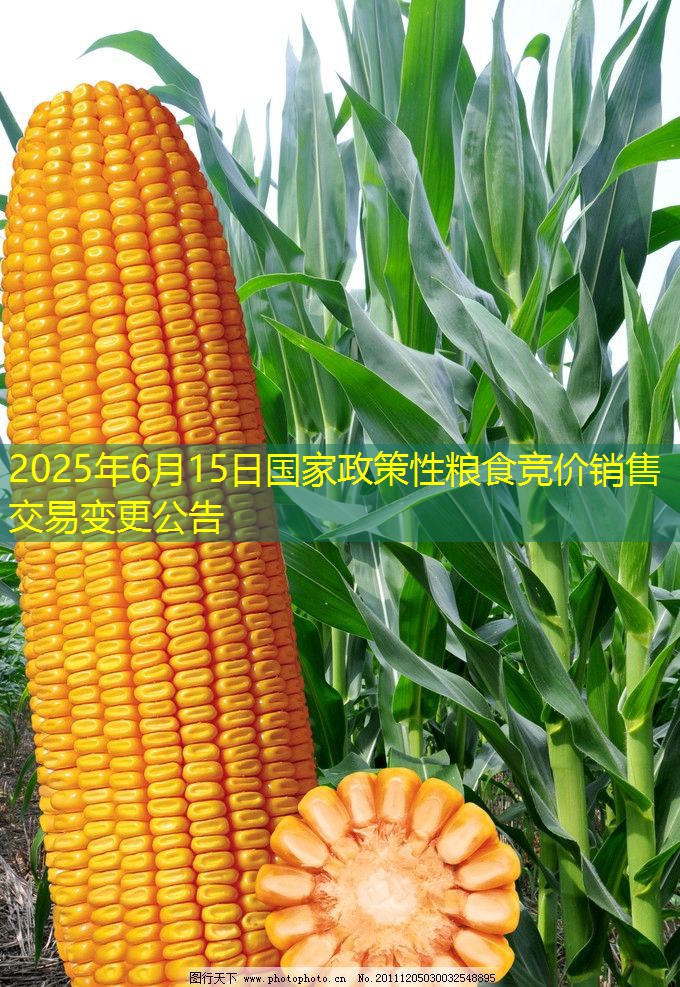 2025年6月15日国家政策性粮食竞价销售交易变更公告