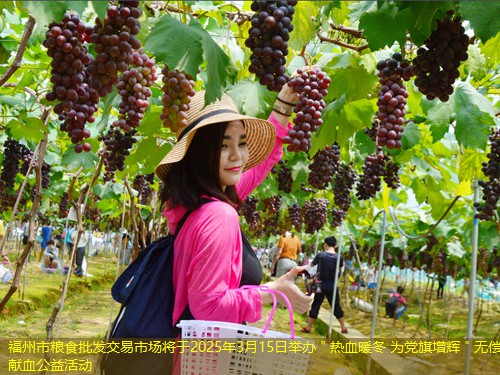 福州市粮食批发交易市场将于2025年3月15日举办＂热血暖冬 为党旗增辉＂无偿献血公益活动