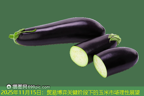 2025年11月15日：贸易博弈关键阶段下的玉米市场理性展望