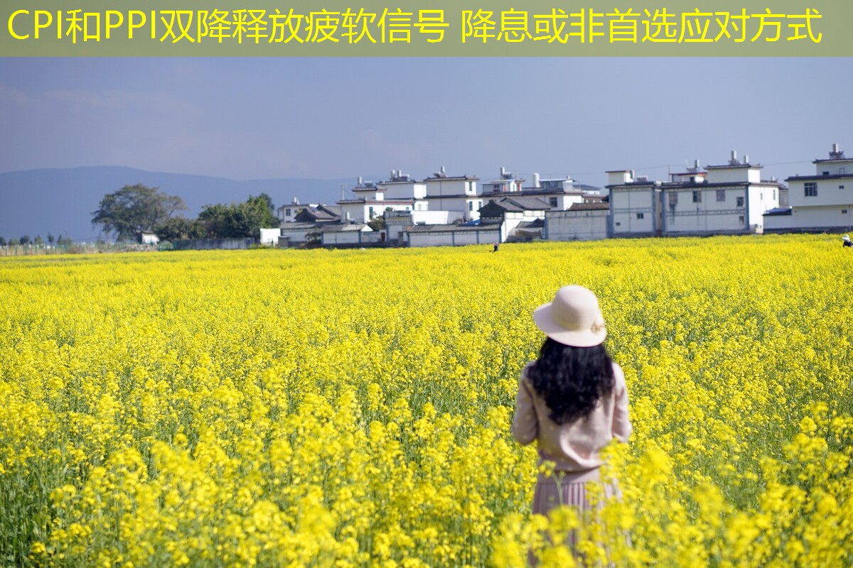 CPI和PPI双降释放疲软信号 降息或非首选应对方式