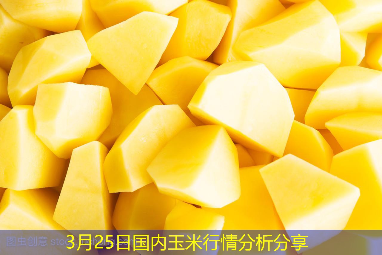 3月25日国内玉米行情分析分享