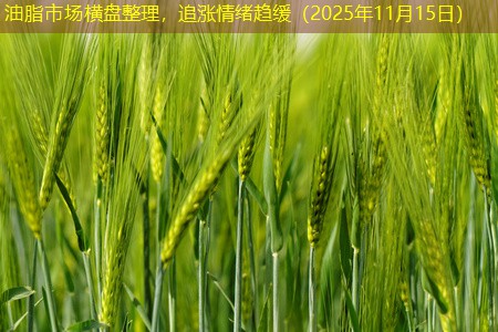 油脂市场横盘整理，追涨情绪趋缓（2025年11月15日）