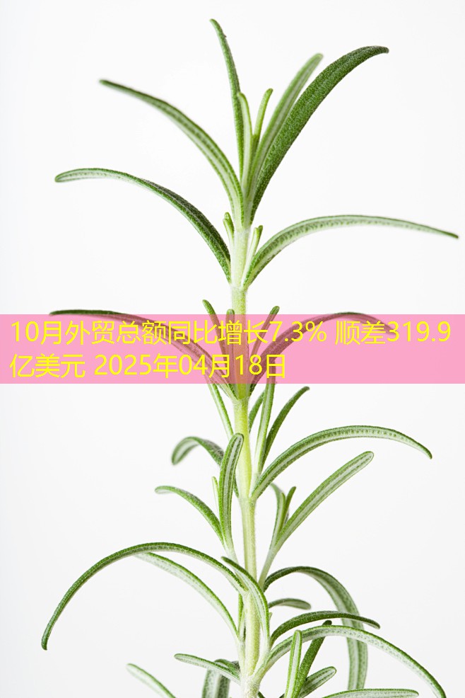 10月外贸总额同比增长7.3% 顺差319.9亿美元 2025年04月18日