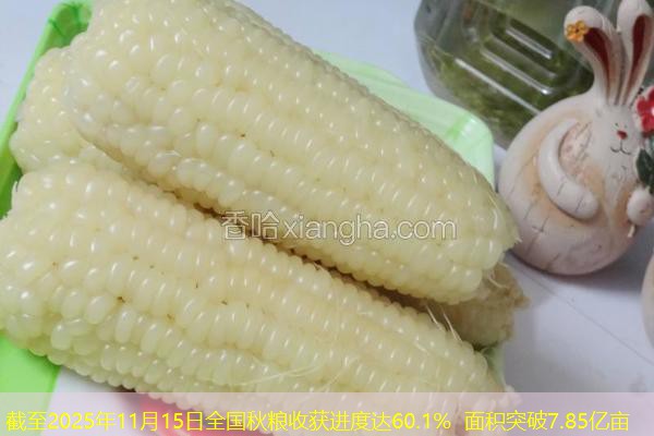 截至2025年11月15日全国秋粮收获进度达60.1% 面积突破7.85亿亩