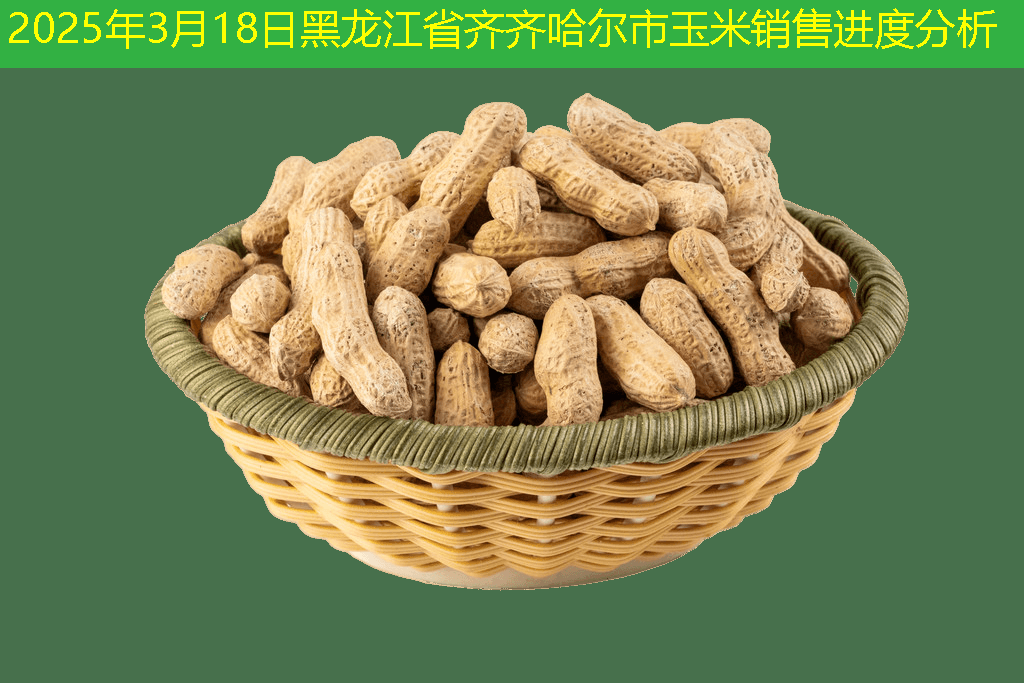 2025年3月18日黑龙江省齐齐哈尔市玉米销售进度分析