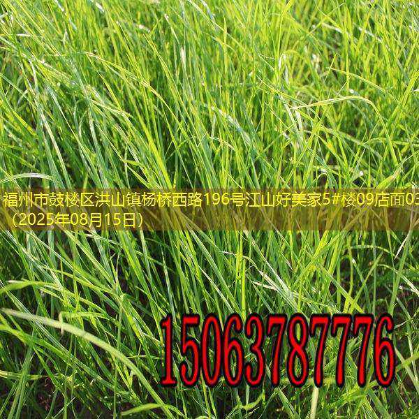 福州市鼓楼区洪山镇杨桥西路196号江山好美家5#楼09店面03（2025年08月15日）