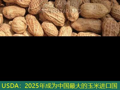 USDA：2025年成为中国最大的玉米进口国