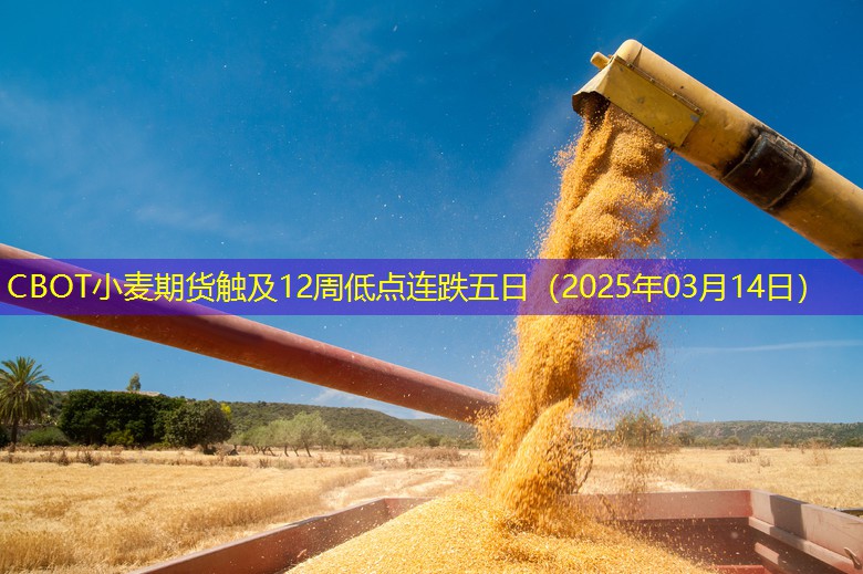 CBOT小麦期货触及12周低点连跌五日（2025年03月14日）