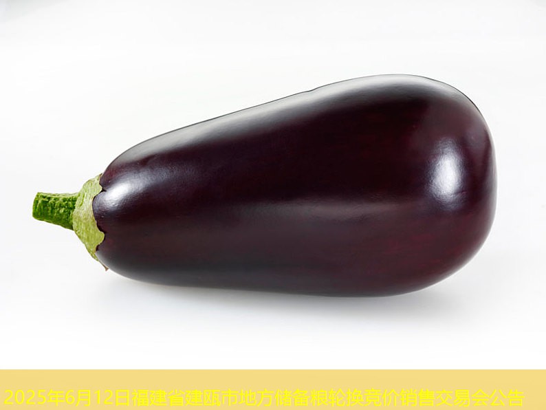 2025年6月12日福建省建瓯市地方储备粮轮换竞价销售交易会公告