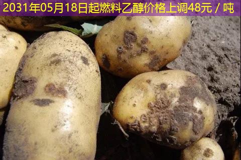 2031年05月18日起燃料乙醇价格上调48元／吨