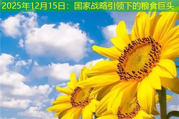 2025年12月15日：国家战略引领下的粮食巨头