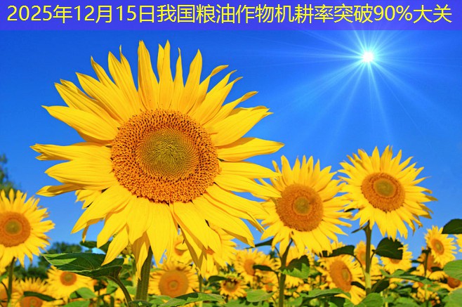 2025年12月15日我国粮油作物机耕率突破90%大关