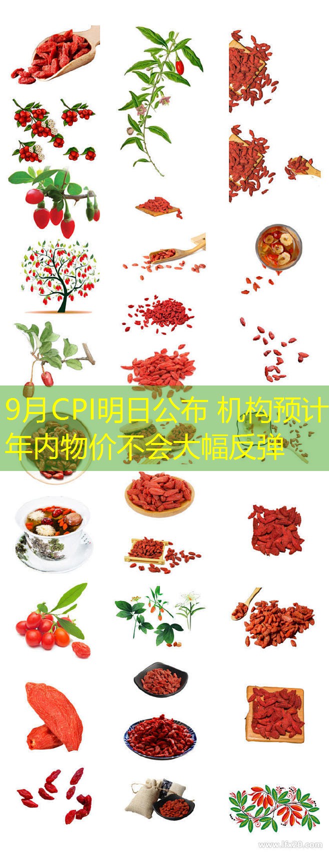 9月CPI明日公布 机构预计年内物价不会大幅反弹