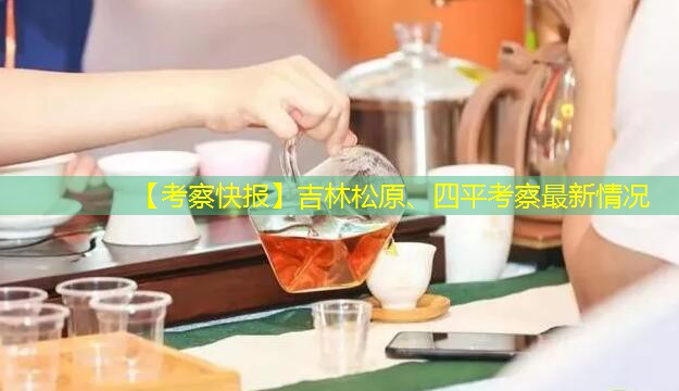 【考察快报】吉林松原、四平考察最新情况