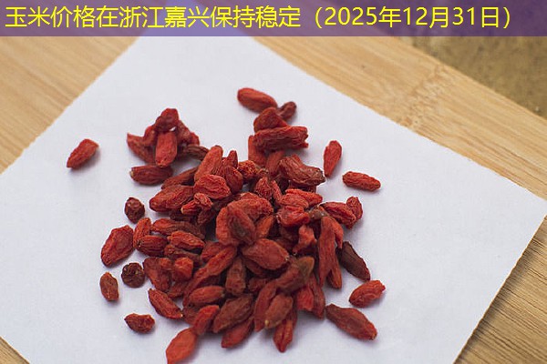 玉米价格在浙江嘉兴保持稳定（2025年12月31日）