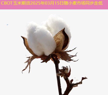 CBOT玉米期货2025年03月15日随小麦市场同步走低