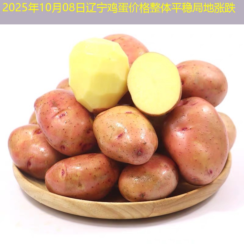 2025年10月08日辽宁鸡蛋价格整体平稳局地涨跌