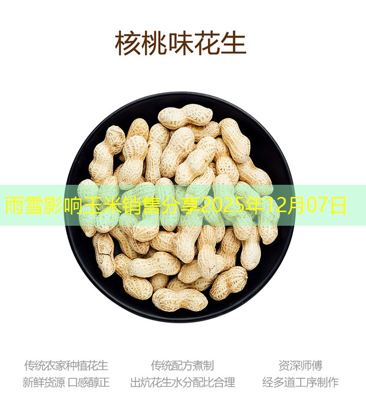 雨雪影响玉米销售分享2025年12月07日