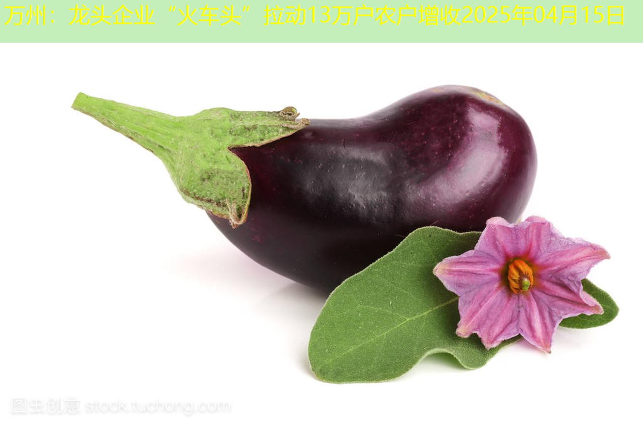 万州：龙头企业“火车头”拉动13万户农户增收2025年04月15日