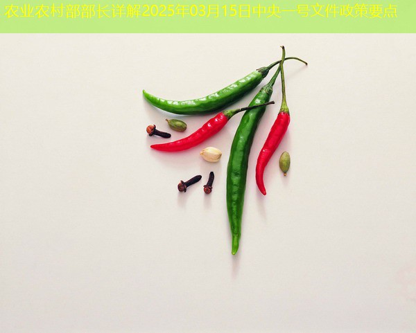 农业农村部部长详解2025年03月15日中央一号文件政策要点