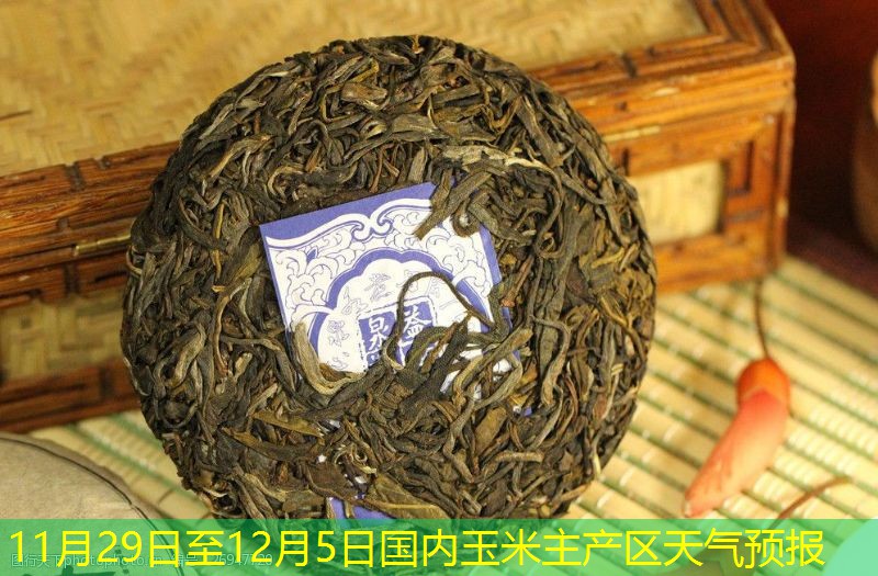 11月29日至12月5日国内玉米主产区天气预报