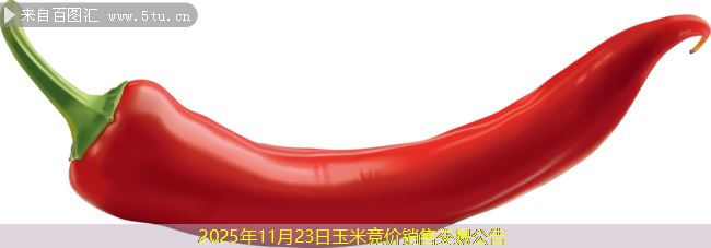 2025年11月23日玉米竞价销售交易公告