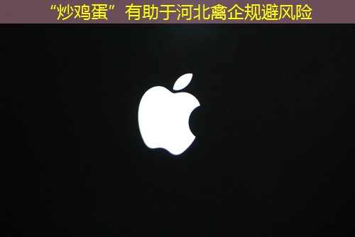 “炒鸡蛋”有助于河北禽企规避风险