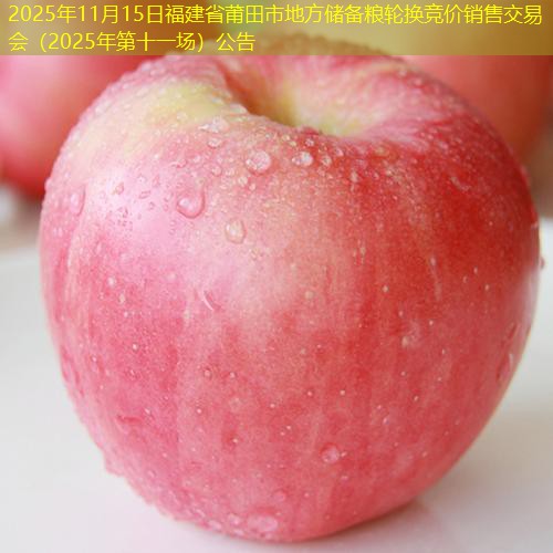 2025年11月15日福建省莆田市地方储备粮轮换竞价销售交易会（2025年第十一场）公告