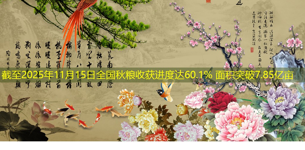 截至2025年11月15日全国秋粮收获进度达60.1% 面积突破7.85亿亩