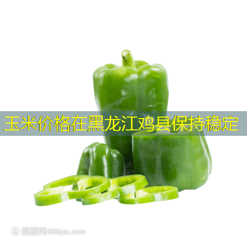 玉米价格在黑龙江鸡县保持稳定