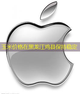 玉米价格在黑龙江鸡县保持稳定