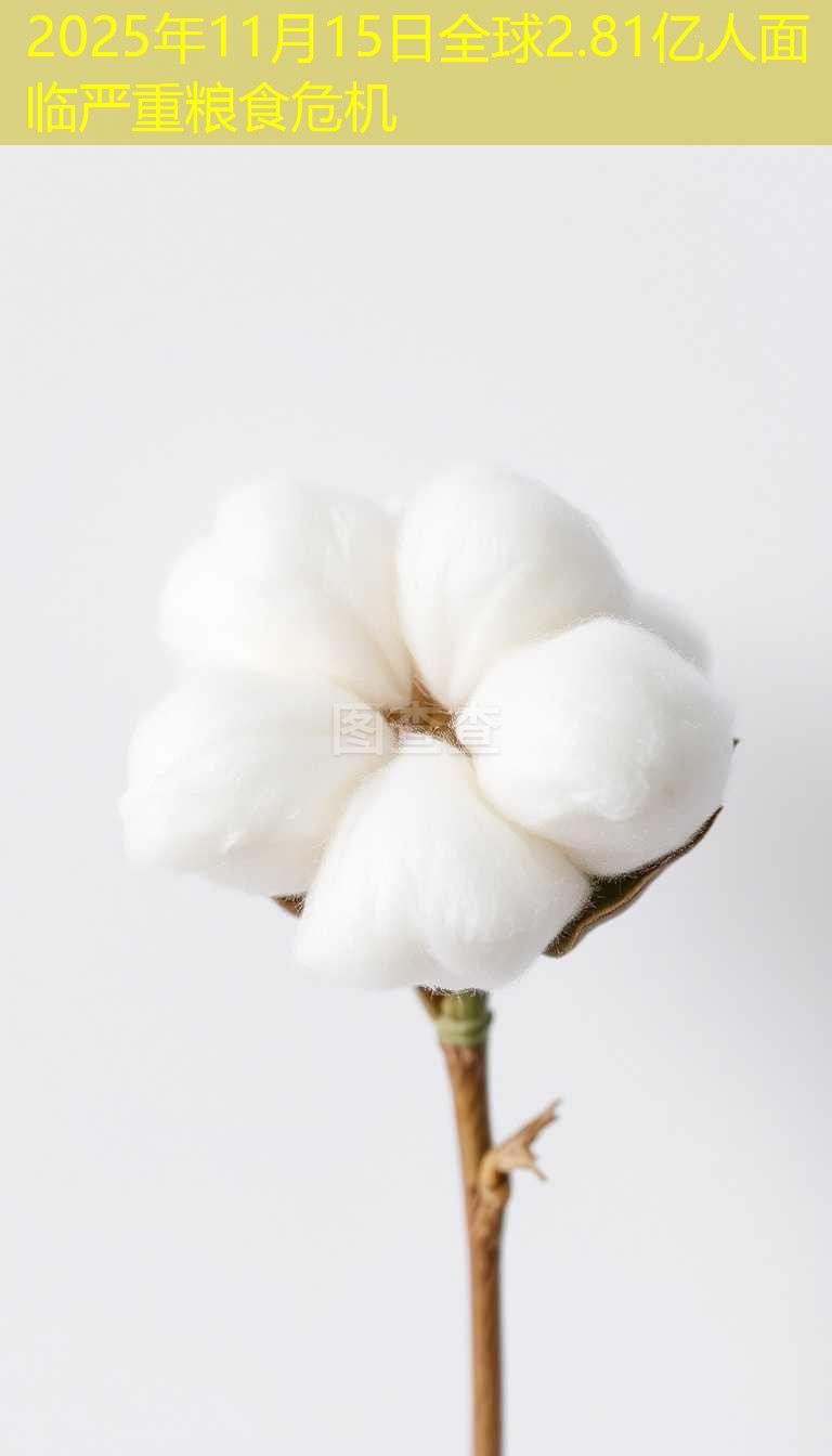 2025年11月15日全球2.81亿人面临严重粮食危机