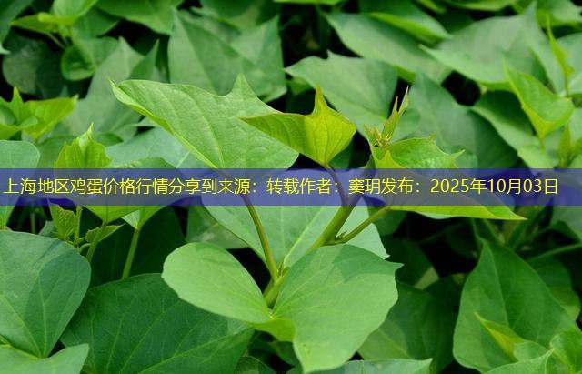 上海地区鸡蛋价格行情分享到来源：转载作者：窦玥发布：2025年10月03日