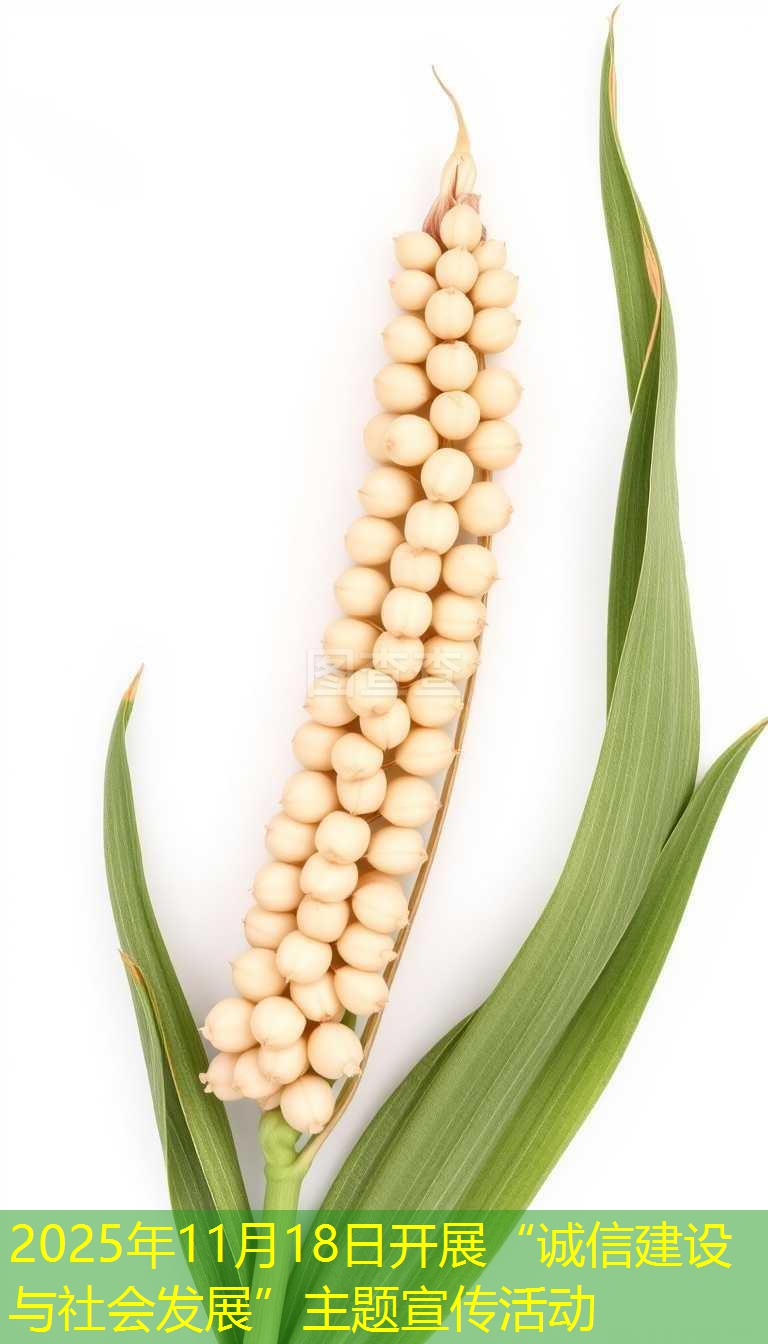 2025年11月18日开展“诚信建设与社会发展”主题宣传活动