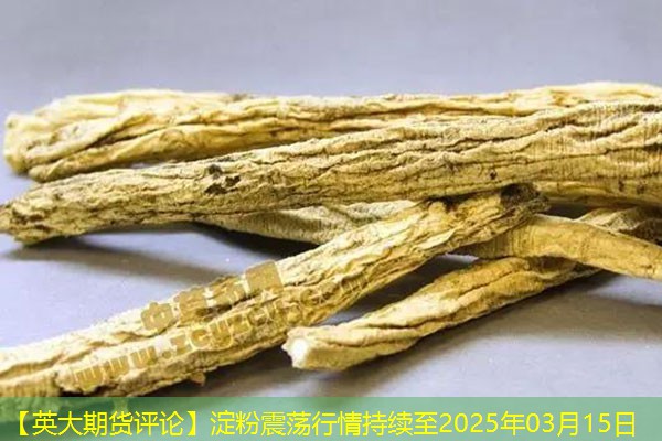 【英大期货评论】淀粉震荡行情持续至2025年03月15日