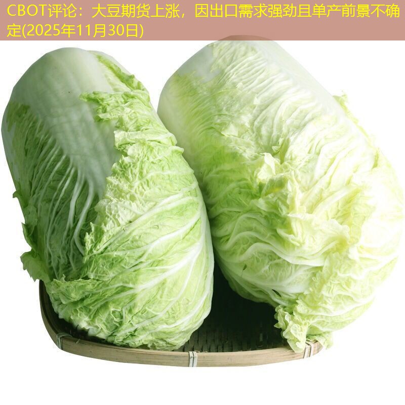 CBOT评论：大豆期货上涨，因出口需求强劲且单产前景不确定(2025年11月30日)