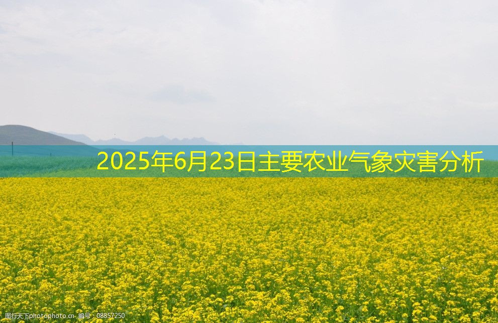 2025年6月23日主要农业气象灾害分析