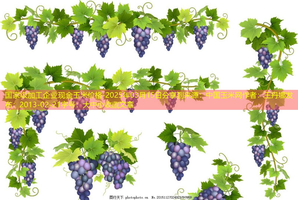 国家级加工企业现金玉米价格-2025年03月15日分享到来源：中国玉米网作者：王丹娜发布：2013-02-21字号：大中小收藏文章