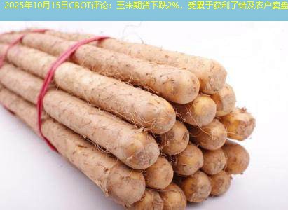 2025年10月15日CBOT评论：玉米期货下跌2%，受累于获利了结及农户卖盘